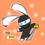 The CarrotNinja