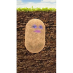 Mr. scottish salad cat daniels kids