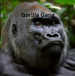 Scp guy