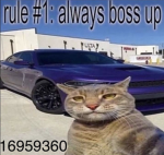 BOSS UP OG