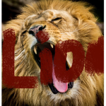 studioLion
