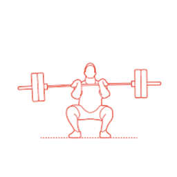 Strength Simulator