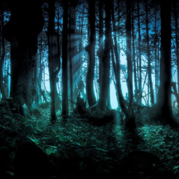 The Forest of Evil