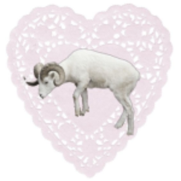♡