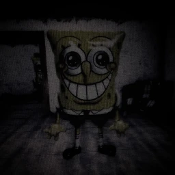 sponge . icon
