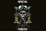 Republic of the Irish Elite Forces