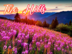 The Hills..