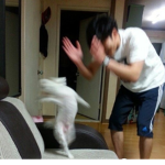 피넛쭈