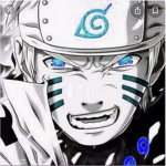 The NARUTO groupa