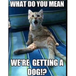 ~#THE L0SERS#~