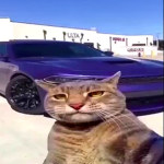 RobIcx