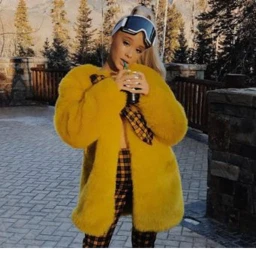 Ariana Grande icon