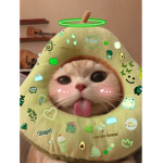 Kittiesara