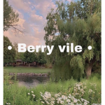 Berry vile