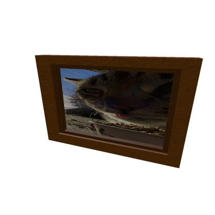 Cat picture frame