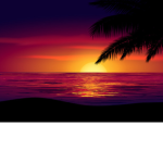 Lovely sunset squad