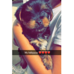 I puppy Group