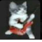 catcatatca