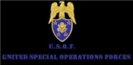 United Special Operations Forces (U.S.O.F.)
