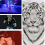 Snow tigers (give away each week)