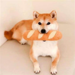 火神粉絲團
