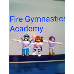 Fire Gymnastics Academy comps
