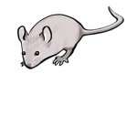 Mice uniting