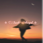 - Sunsets Hangout -
