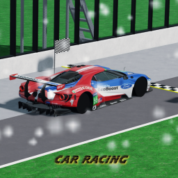 (Winter) Car Racing