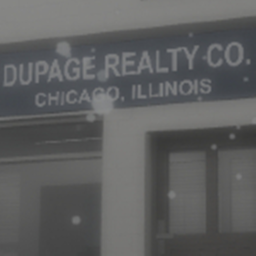 DuPage County Realty