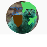 The Stetson Alliance