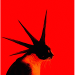Calmonista