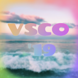 VSCO '19 Home Store