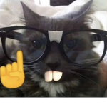 :3 hai