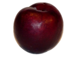 Plum Club