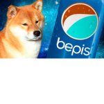 Doge n bep sis fan group