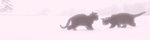 ill gve u nothing