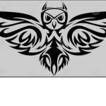 The owl Zandaka dojo
