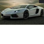 Pro only white club