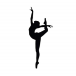 Star Dance Company ( SDC )