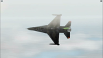 belgian group100