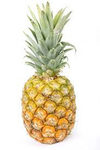 pineapple >:3