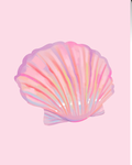 Seashell Shores!