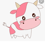 Cutest cows