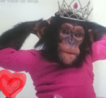 Mei’s monkeys