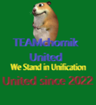 TEAMchomik