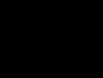 Slenders & Cnps group