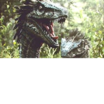 #Dinosaur Team