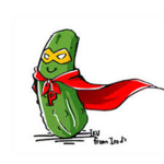 The Official Pickle Club OP