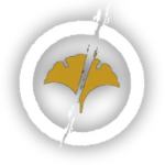 YОTEI
